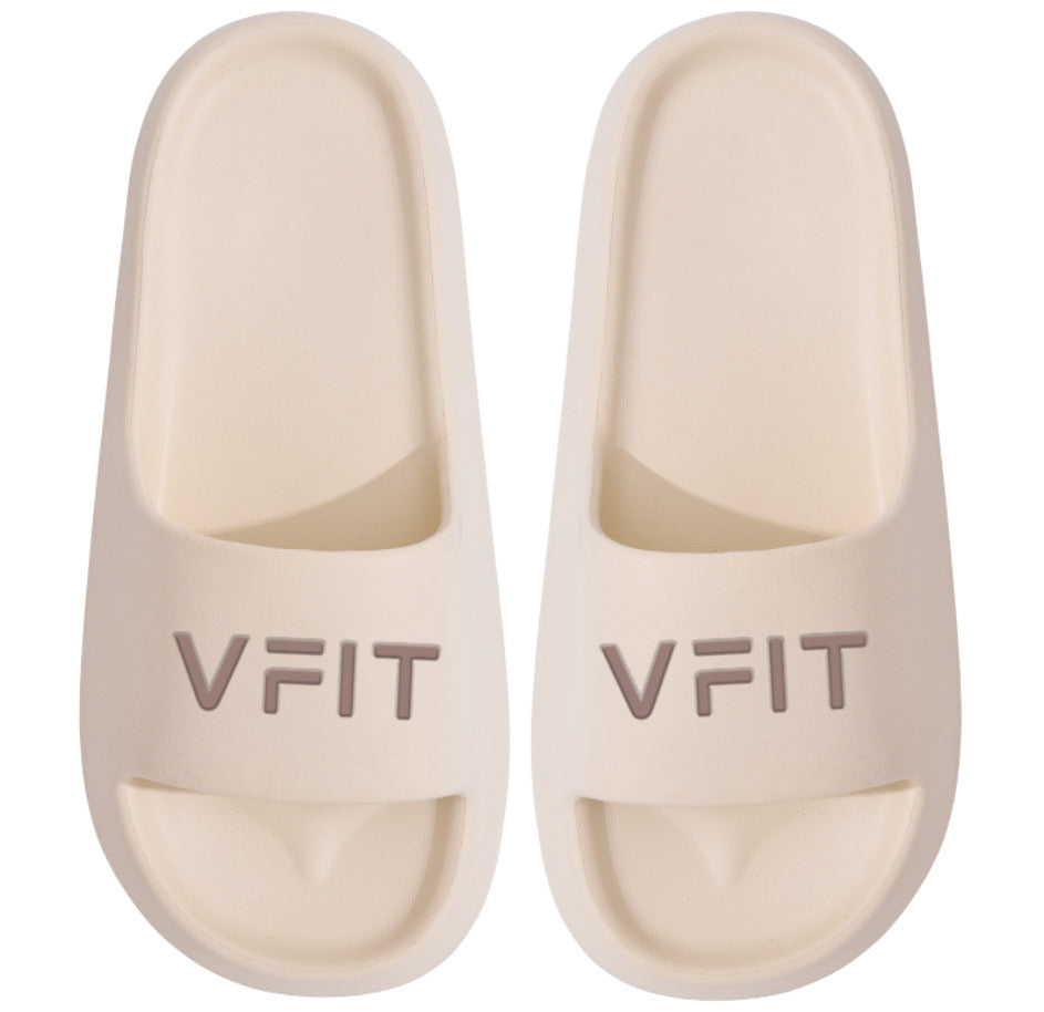 VFit Slides